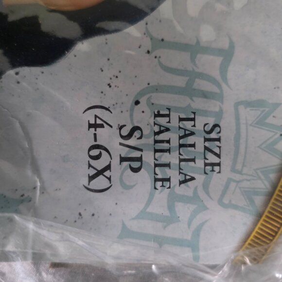 Evie Disney's Descendants Halloween costume girls size 4 to 6x - Picture 4 of 5